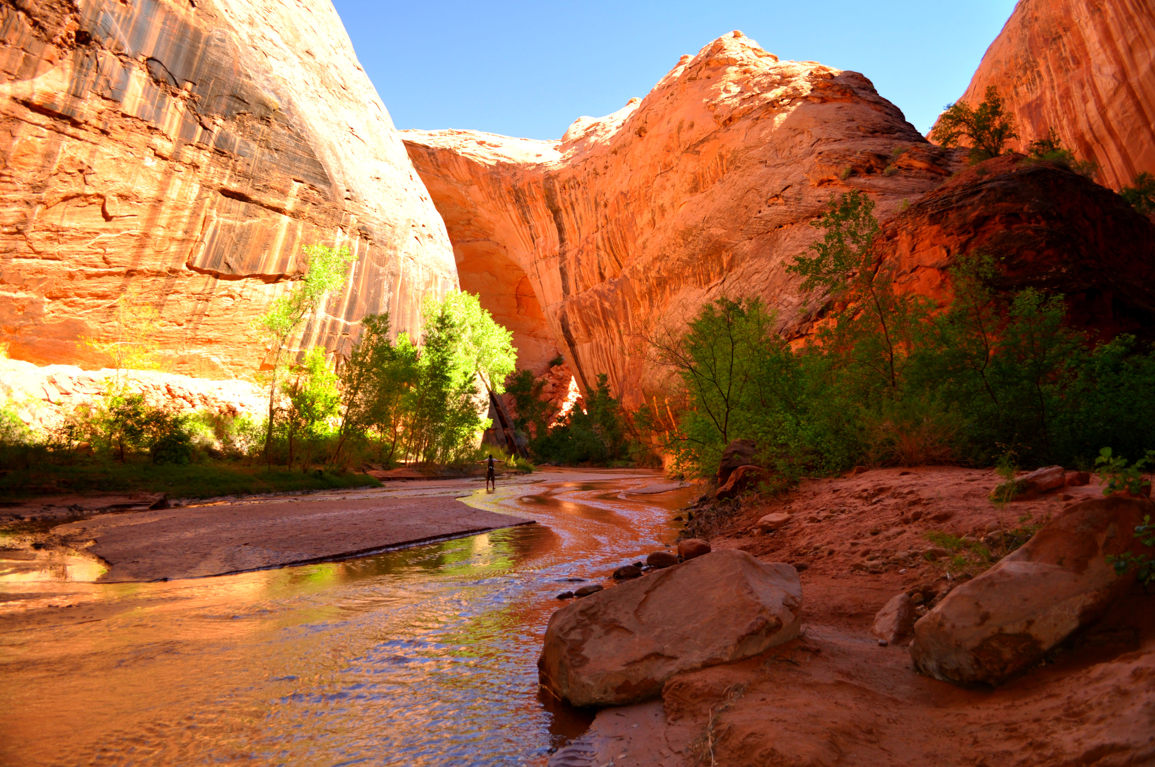 Coyote Gulch - Your Hike Guide