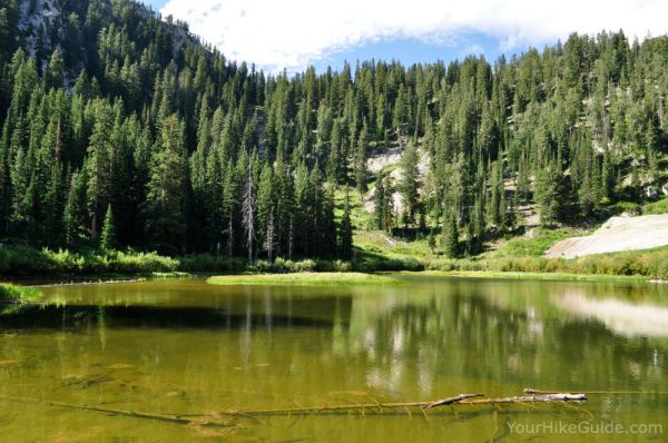 Lake Solitude - Your Hike Guide